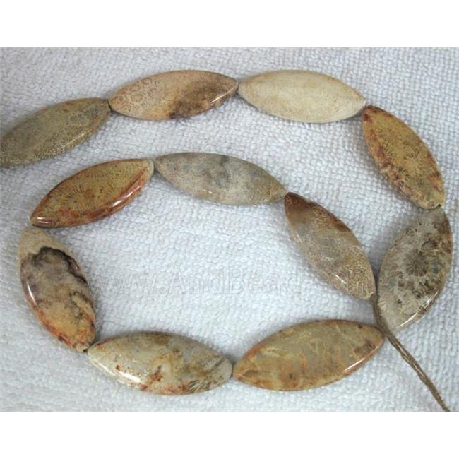 Coral Fossil Beads, chrysanthemum, horse eye