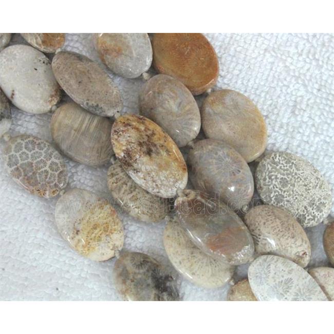 Coral Fossil Beads, chrysanthemum, flat oval