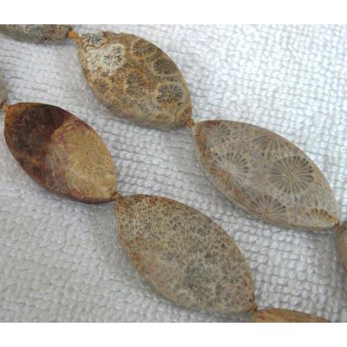 Coral Fossil Beads, chrysanthemum, horse eye