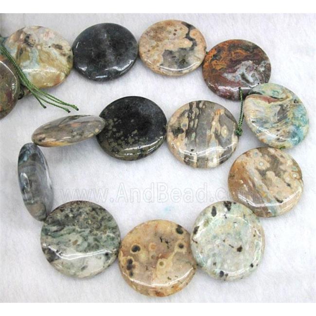 Ocean Agate beads, coin round