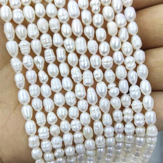 Natural White Freshwater Pearl Beads Rice C-Grade