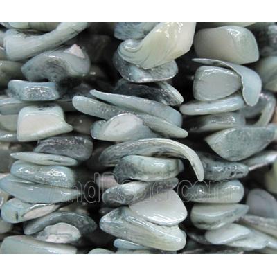 Fresh water shell bead, freeform