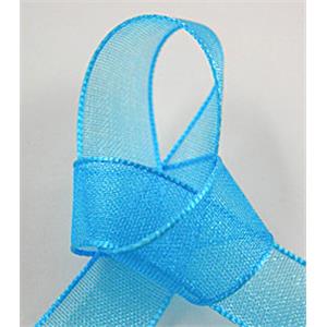 aqua Organza Ribbon Cord, 9mm wide