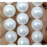 White Pearlized Shell Beads Smooth Round, approx 14mm dia