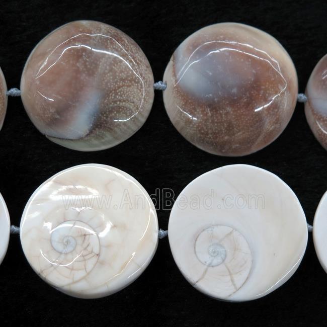 Shell Fossil beads, circle