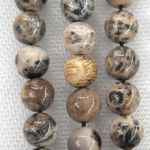 round Coral Fossil Beads