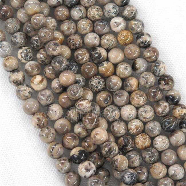 round Coral Fossil Beads