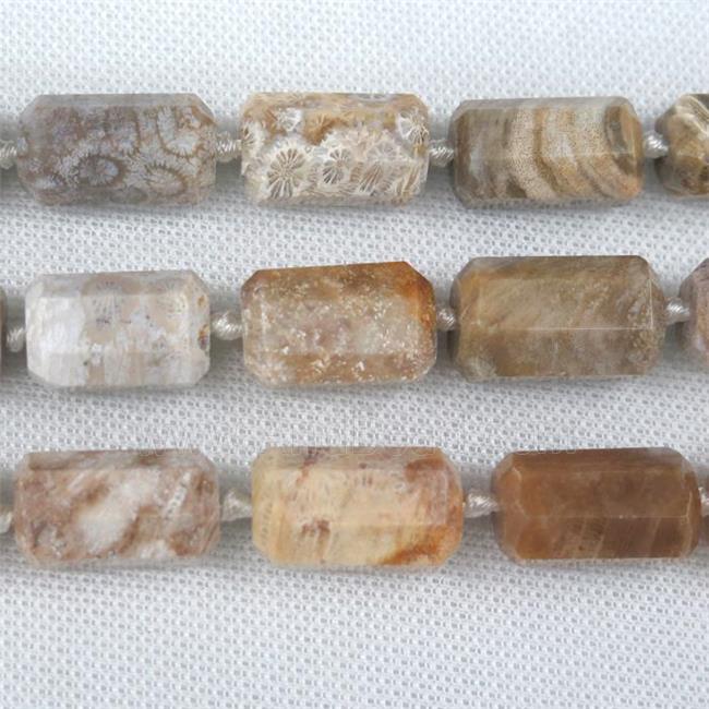 Coral Fossil tube beads