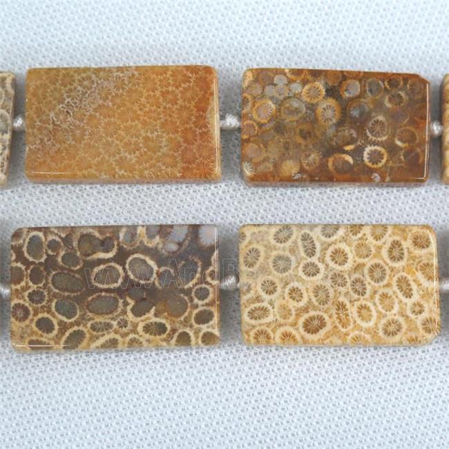 yellow Coral Fossil Beads, rectangle Petoskey