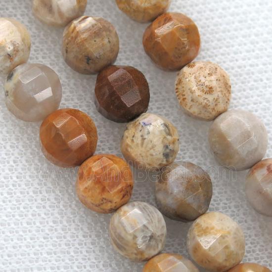 Coral Fossil Beads, faceted round