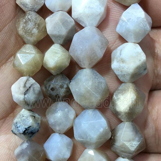 Coral Fossil beads, faceted round, B-grade