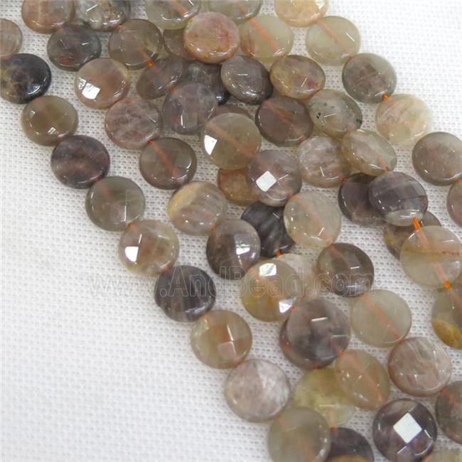 black SunStone Beads, faceted circle
