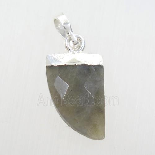 Labradorite horn pendant, silver plated