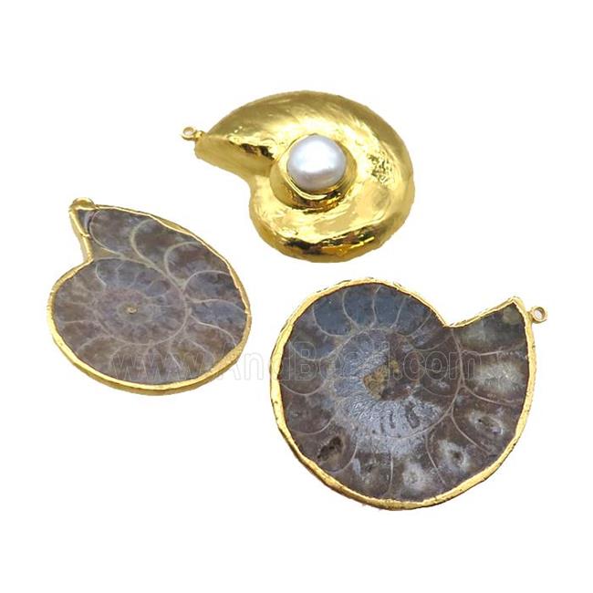 Ammonite Fossil pendant with pearl, gold plated