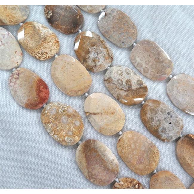 Coral Fossil slice Beads, faceted freeform, B-grade