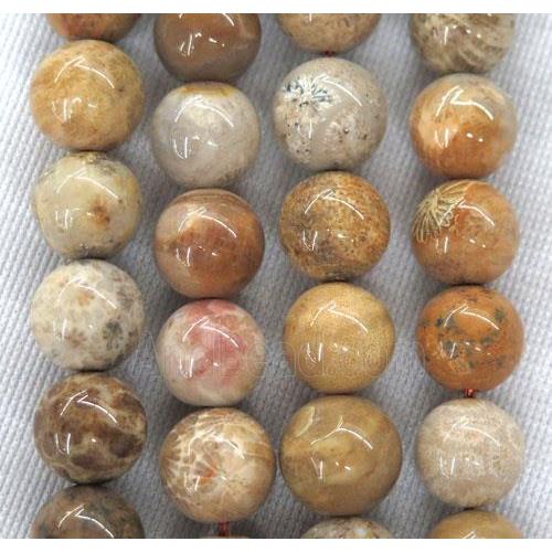 round coral fossil beads