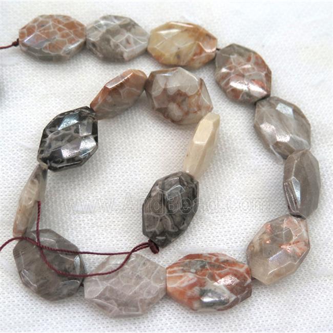 Coral Fossil slice beads, faceted freeform