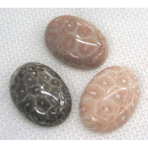 coral fossil Cobochon, oval
