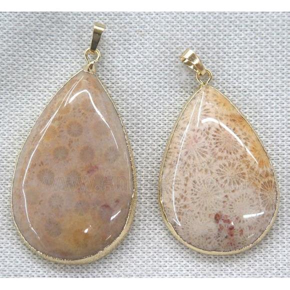 coral fossil pendant, teardrop, gold plated