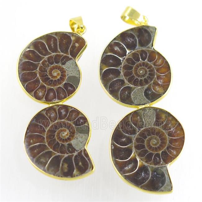 double Ammonite Fossil pendant, gold plated