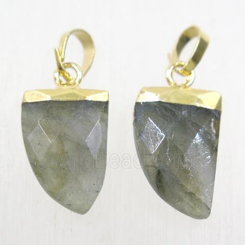 Labradorite horn pendants, gold plated