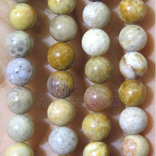 yellow Fossil Coral beads, grade B, round