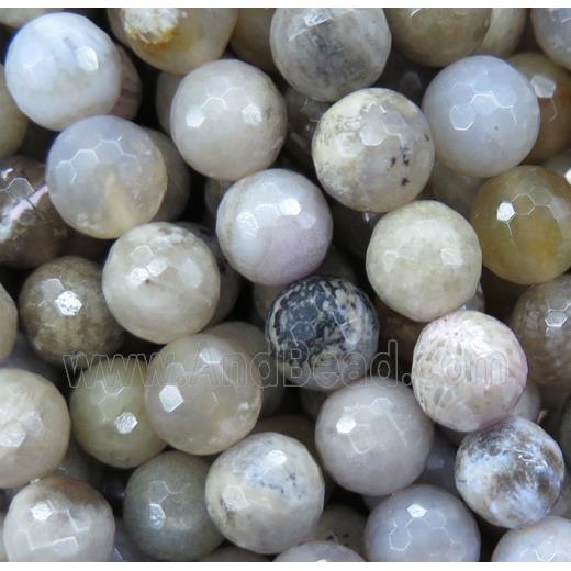 Coral Fossil beads, faceted round