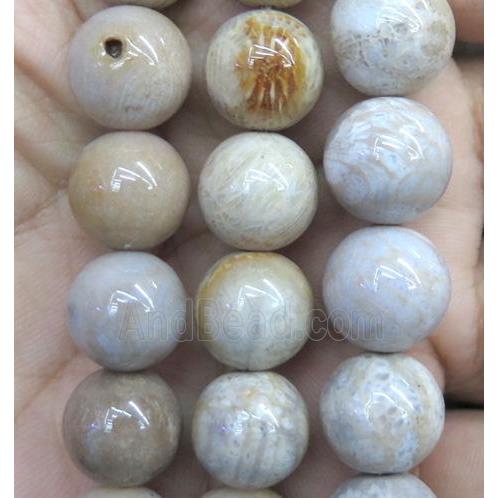 coral fossil jasper bead, round