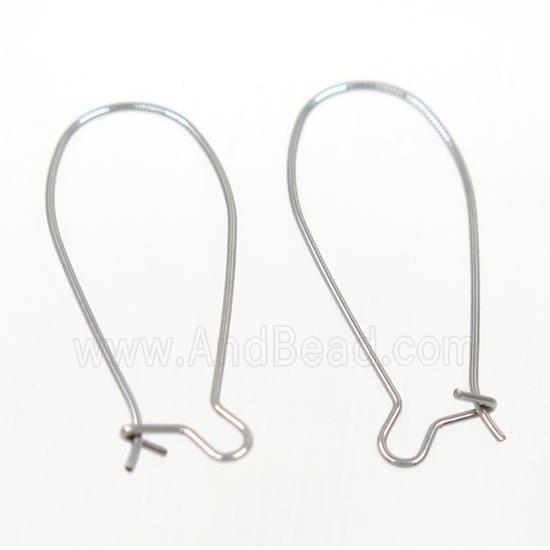 stainless steel earring hook