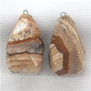 Picture Jasper pendant, freeform, approx 20-40mm