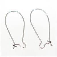 stainless steel earring hook, approx 13-35mm