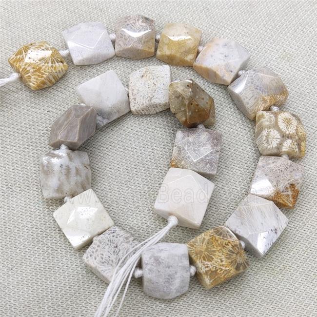Natural Coral Fossil Beads Faceted Square