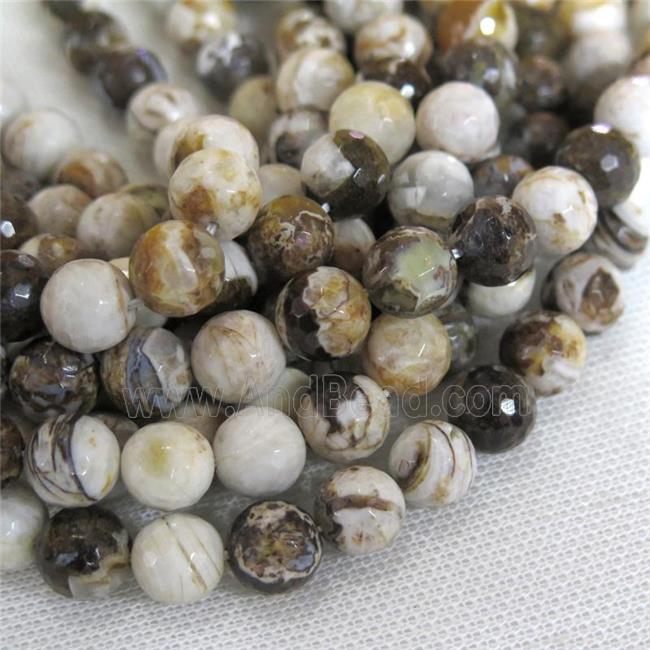 faceted round American Wooden Petrified Jasper Beads