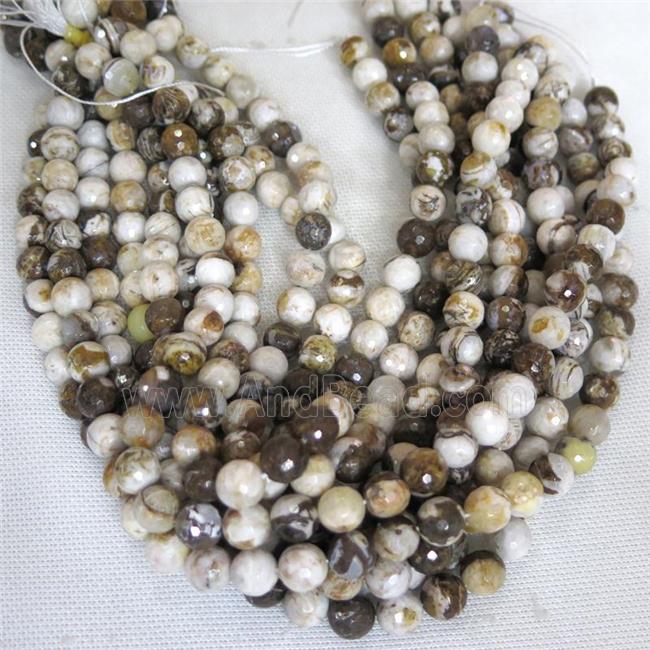 faceted round American Wooden Petrified Jasper Beads