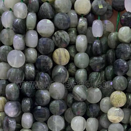 green Actinolite beads, faceted circle