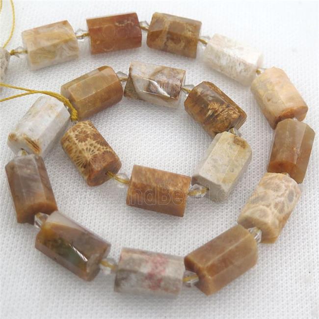 Coral Fossil beads, faceted tube