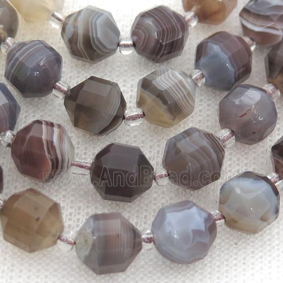 gray Botswana Agate bullet beads