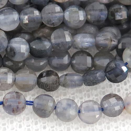 Iolite Beads, faceted coin