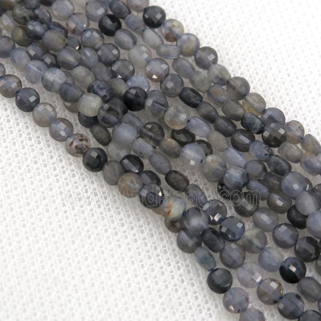 Iolite Beads, faceted coin
