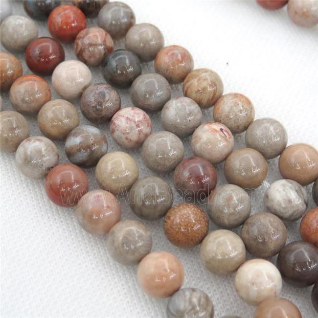 round Coral Fossil Beads, mixed color