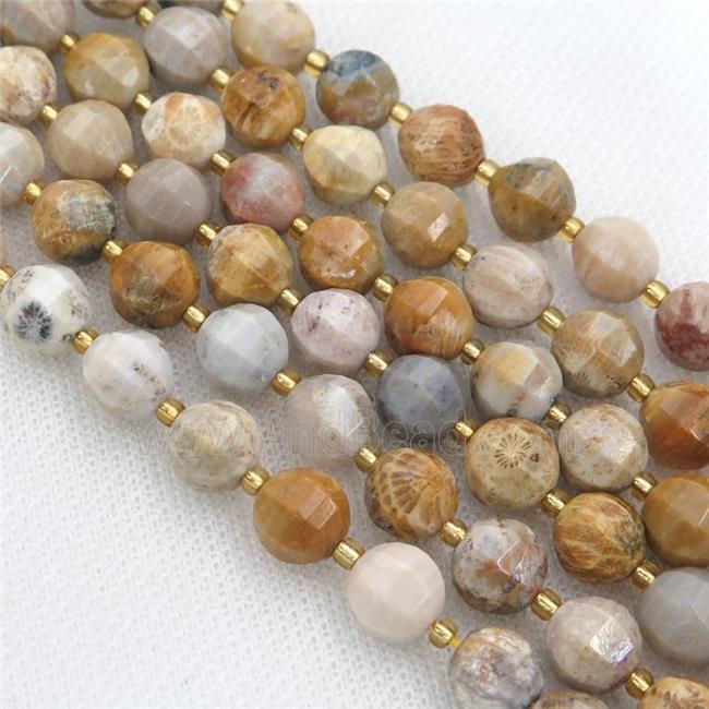 yellow Coral Fossil lantern beads
