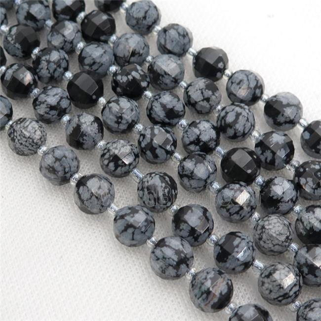 black Snowflake Jasper lantern Beads