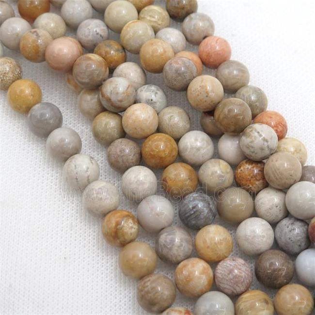 natural Coral Fossil Beads, round