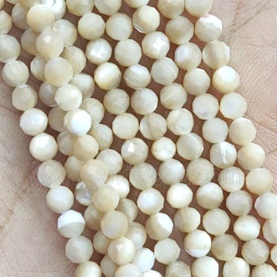 Natural Shell Beads Faceted Round
