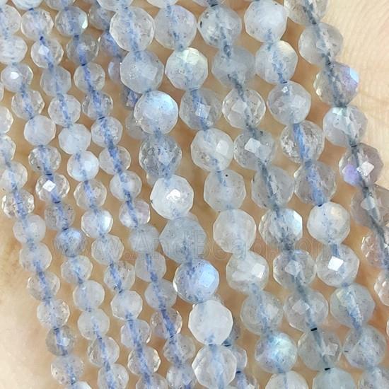 Labradorite Beads Faceted Round