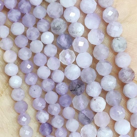 Lepidolite Beads Faceted Round