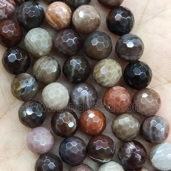 Wood Petrified Jasper Beads Faceted Round