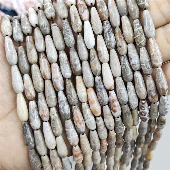Coral Fossil Beads Faceted Teardrop