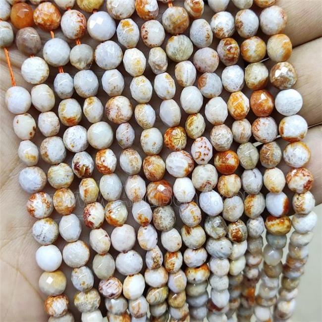 Coral Fossil Beads Faceted Coin B-Grade