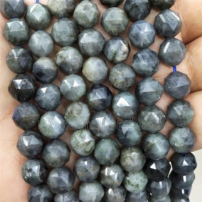 Labradorite Beads Cut Round